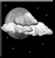 Tonight: Mostly Cloudy then Patchy Drizzle